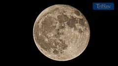 Super blue moon glows red over Subic Bay Freeport
